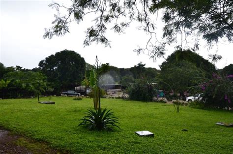 Le Ranch De Ngaoundaba Une Pépite Au Cœur De Ladamaoua Apie News