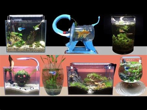 Simple Guppy Fish Tank Setup Simple Diy For Afr Albino Full Off