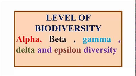 Level Of Biodiversity Alpha Beta Gamma Delta And Epsilon Diversity