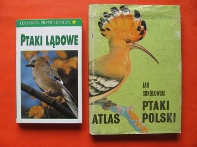 Ptaki Polski Atlas Jan Soko Owski Ptaki L Dowe