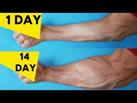 3 Best Exercises For Forearms Home Forearm Workout Latest Workout