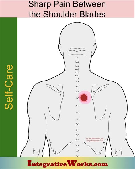 Self Care Sharp Upper Back Pain Between The Shoulder Blades