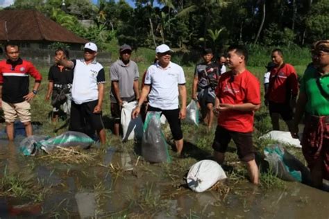 Bangkitkan Pertanian Organik Dan Jaga Harga Jual Beras Bupatu Suwirta