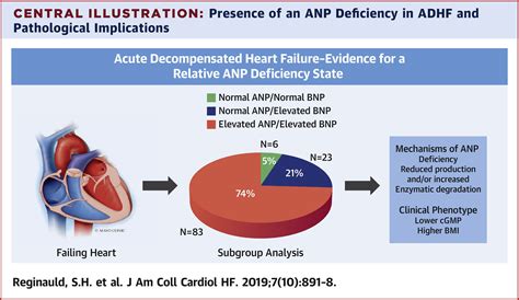 Differential Regulation Of ANP And BNP In Acute Decompensated Heart