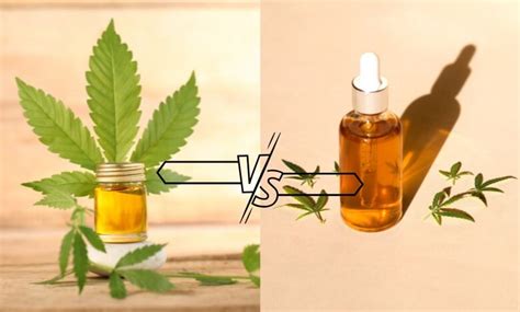 Hemp Oil Vs Cbd Oil Whats The Difference Atlrx