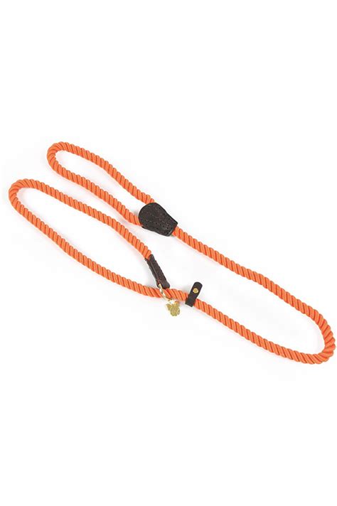 Digby And Fox Rope Slip Dog Lead Country And Stable