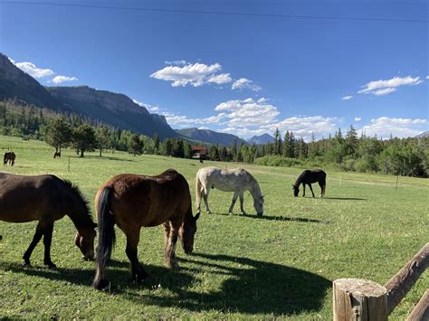 Gallery — Bears Ranch Durango Colorado