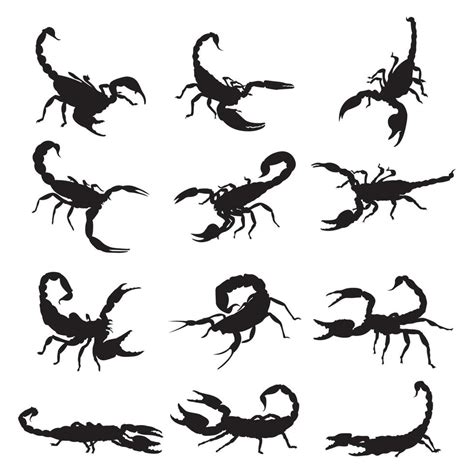 Set scorpion silhouette vector illustration. 20845007 Vector Art at ...