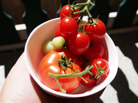 Fotos Gratis Fruta Plato Comida Rojo Produce Vegetal Tomates