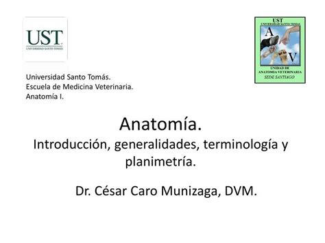 Anatom A Veterinaria Vetery Books Udocz