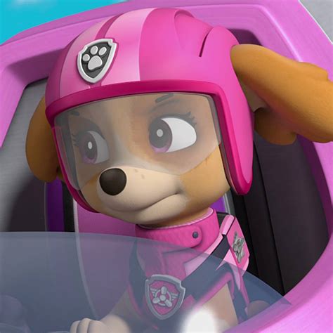 Paw Patrol Seizoen 5 Afl 14 Ultieme Actie Pups Redden De Tijgers Volledige Aflevering