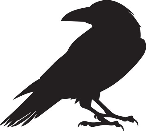 Crow vector silhouette illustration black color 27687311 Vector Art at Vecteezy