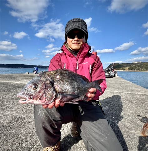 和歌山のもりもっちゃん さんの 2023年12月24日のチヌの釣り・釣果情報和歌山県 加太港 アングラーズ 釣果600万件の