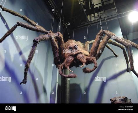 A View Of The Magic Giant Spider Acromantula Of The Harry Potter Stock