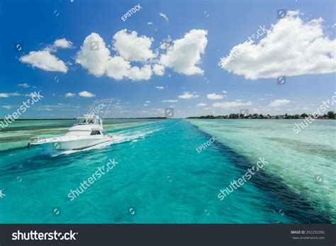 3,666 Bahamas fishing Images, Stock Photos & Vectors | Shutterstock