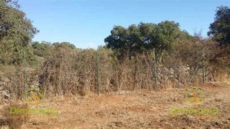 Asta Per Terreno Agricolo Loc Bena Buleos Nuraghe Losa Abbasanta