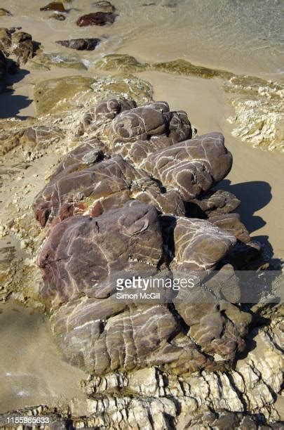 81 Pambula River Stock Photos, High-Res Pictures, and Images - Getty Images