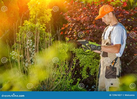 Jardineiro Working Na Tabuleta Imagem De Stock Imagem De Equipamento