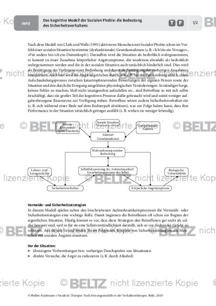 St Rungsmodelle Das Kognitive Modell Der Sozialen Phobie Bedeutung