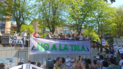 La Ciudadan A Vuelve A Protestar En Defensa Del Arbolado Y Los Parques