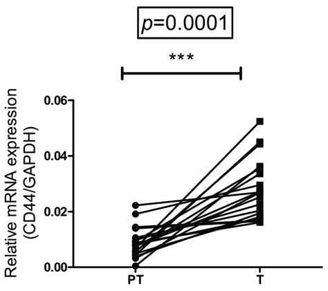 Comparative Expression Of Cd44 Mrna In Paired Tumor And Peritumor Download Scientific Diagram