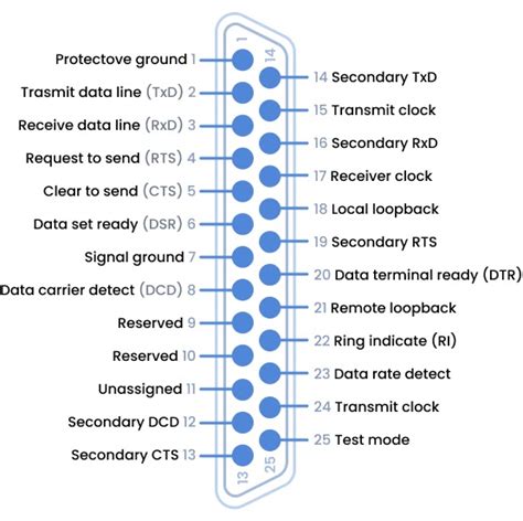 Ltima Revisi N Sobre El Protocolo Rs