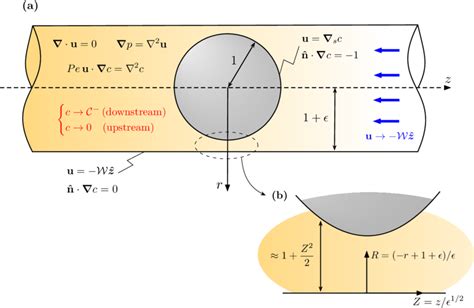 Schematic Diagrams Depicting A The Dimensionless Problem In The Download Scientific Diagram