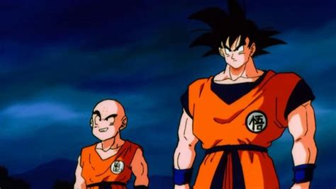 Image Goku And Krillin Dragon Ball Wiki