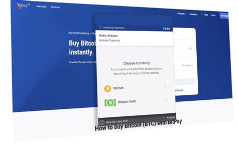 Bitpay Clone App Script Try LIVE DEMO Now Opris