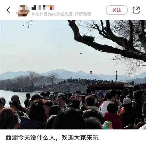 西安赢麻了！大年初二迎旅游热潮！有人凌晨就在排队，有景区海鸥被喂撑多地紧急提醒：售罄！约满！ 杭州网