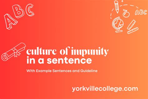 How To Use Culture Of Impunity In A Sentence Easy Examples