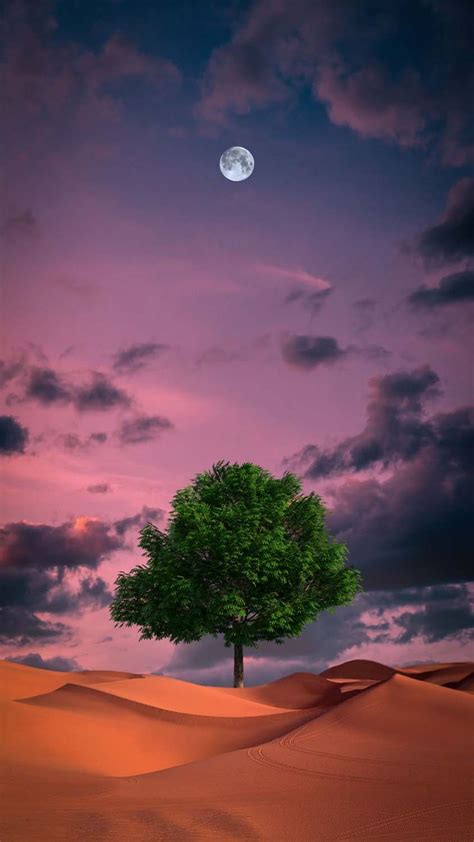 A Lone Tree In The Desert Under A Full Moon