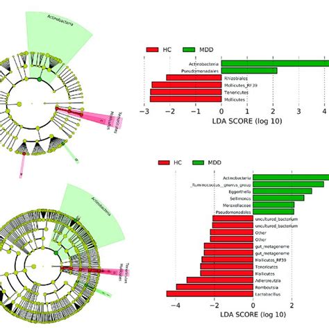 Linear Discriminant Analysis Effect Size Lefse Histograms And The