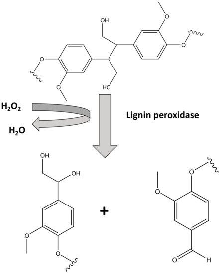 Removal Mechanisms For Emerging Contaminants Encyclopedia MDPI