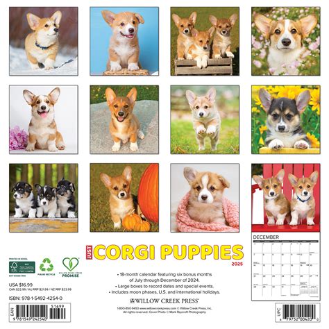 Welsh Corgi Puppies Kalender 2025 Kopen Bestel Eenvoudig Online