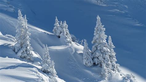 Hautes Pyrénées Au café ce matin les infos à retenir ce jeudi 29