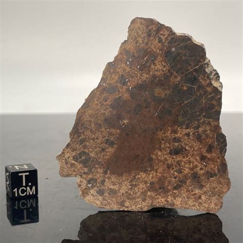 Diogenite NWA 14056 VESTA Meteor Asteroid 11 2 G Catawiki