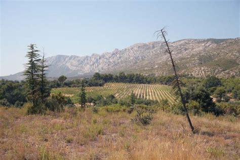 Pin By Helgi Martin On French Foreign Legion Farmland Outdoor