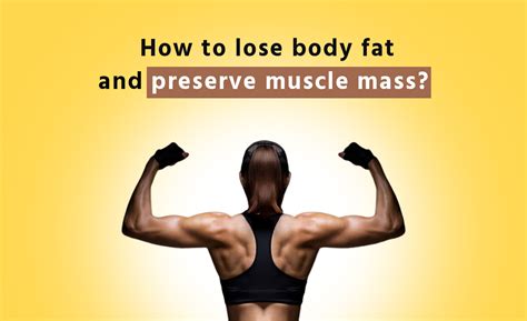 How To Lose Body Fat And Preserve Muscle Mass