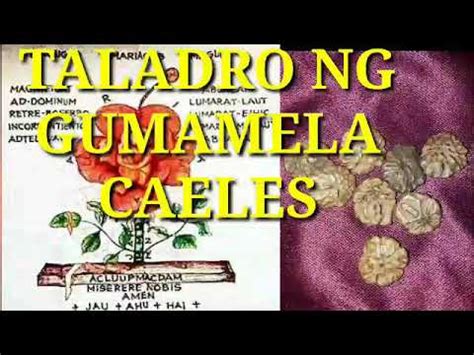 TALADRO NG GUMAMELA CAELIS - YouTube