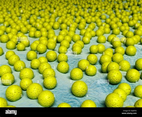 Close Up Image Of Staphylococcus Virus Infection Stock Photo Alamy