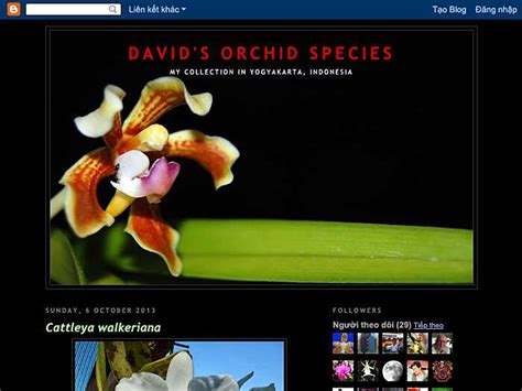 David S Orchid Species Orchidwire Archives