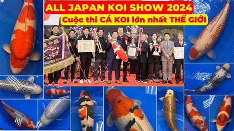 TRIỂN LÃM CÁ KOI LỚN NHẤT THẾ GIỚI 2024 THE 54TH ALL JAPAN COMBINED