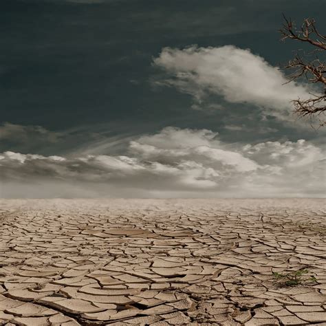 Cracked earth in the desert HD Wallpaper