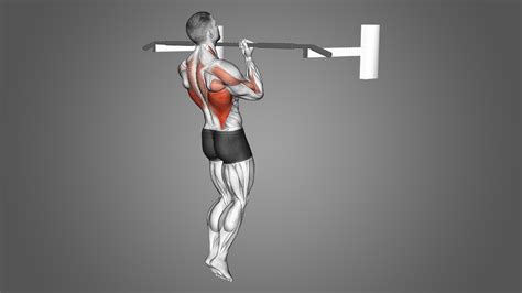 Chin Ups: Benefits, Muscles Worked, and More - Inspire US