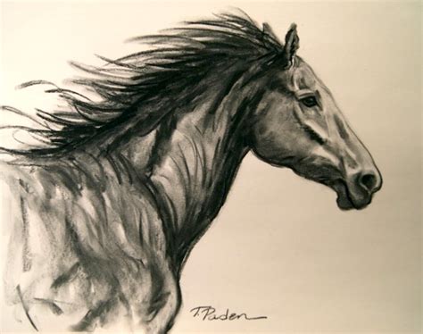 Wild Horse Sketch at PaintingValley.com | Explore collection of Wild ...