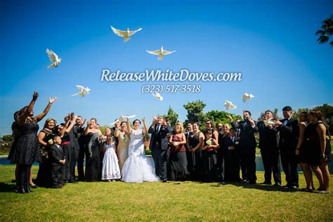 Weddings And Engagements Dove Release And White Dove Releases By Romero