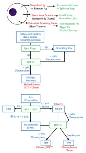 Heme Onc Plasma Cell Dyscrasias Flashcards Quizlet