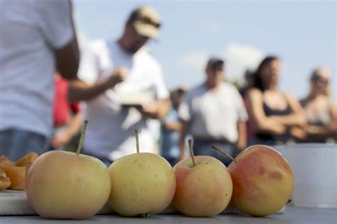 Kentland Farm Field Day to showcase agricultural research and more