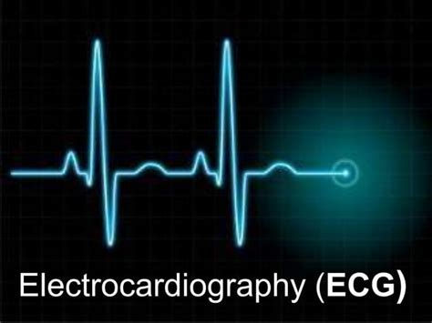 Cardiac function-test | PPT